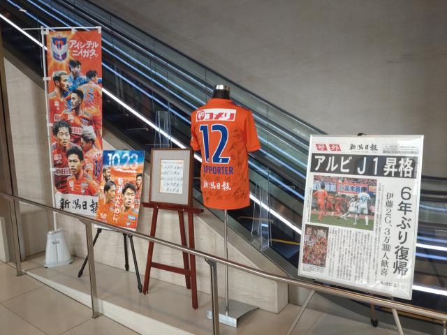 1666718498354026408.jpeg 8.jpeg